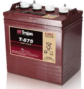 Trakční baterie Trojan T 875, 170Ah C20, 8V, 264 x 181 x 276 mm