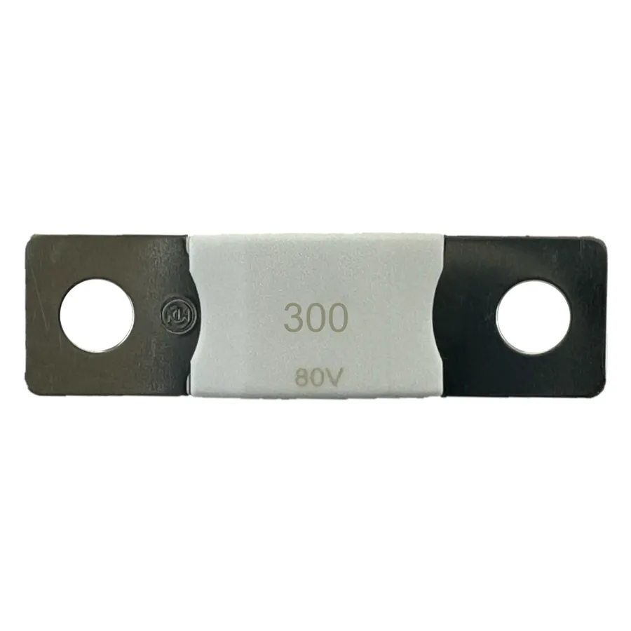 MEGA-pojistka 300A/80V Victron Energy